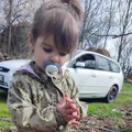Potraga za Dankom Ilić: Mini bageri raščišćavaju teren oko kuće nestale devojčice