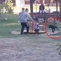 (Video): Razjareni pas kidiše na prestravljenu decu, jedva ga savladali, a jedna osoba sve to mirno gleda i snima! Situacija…