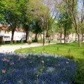Uređenje ulice Stevana Sremca