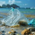Plastika preplavila Jadran: Više od 80 odsto otpada u moru, skiperi sve češće sami čiste obalu