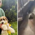 Herojska akcija u Stenkovcu: Doktor Viktor i njegov tim spasili više od 30 pasa iz požara koji je gutao sve