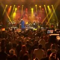 Više od 200.000 posetilaca 31. Nišvil džez festivala – u planu skraćenje trajanja festivala