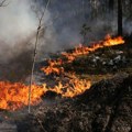 Požar u černobilju pretnja za Evropu: U Zabranjenoj zoni bukti vatra koju ukrajinski vatrogasci tri dana ne mogu da obuzdaju…