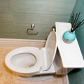 Mnogi sipaju jestivo ulje da se reše neprijatnih mirisa iz WC šolje: Majstori objasnili kada je to moguće