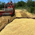 Analiza zemljišta u Pomoravlju posle žetve: Besplatno za registrovana poljoprivredna gazdinstva