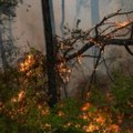 Dobre vesti: Kod Bujanovca pobedili vatru, vode bitku sa posledicama
