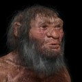 Svet su nekada naseljavali "džinovski" rođaci savremenog čoveka: Bili su viši i od neandertalaca i jeli mnogo mesa
