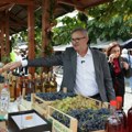 Glamočić: Vrednost izvoza srpskog vina prošle godine dostigla je 22,6 miliona evra, mere podrške uvrštene u godišnji plan
