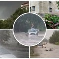 Apokalipsa U Beogradu Oluja nosila krovove, padalo drveće, automobili ostali zarobljeni na ulicama (foto/video)