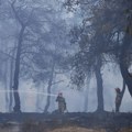 Veliki šumski požar na severoistoku Grčke postepeno jenjava