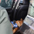 Čim je video luksuzni Audi, pas počeo da laje Policajci našli milionski tovar, a šok je usledio kada su otkrili ko je za…