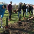 U okviru projekta „Održivo, znači zeleno“ posađene sadnice u Botaničkoj bašti