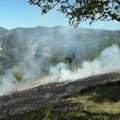 Izgorelo 95 ari zasada šljive I kajsije: Krivična protiv osumnjičenog da je izazvao požar u Miokovcima kod Čačka