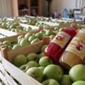Ministarstvo: Srbija i Brazil o saradnji u proizvodnji hrane, kako da naše jabuke stignu do Brazila