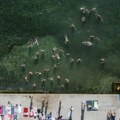 Gujon: Vodili smo više od 750 dece iz srpskih enklava sa Kosova i Metohije na more prethodnih 15 godina