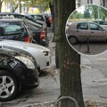 "Toliko dugo stoji da je drvo izraslo": Beograđanin se parkirao na neverovatan način, mreže se usijale (foto)