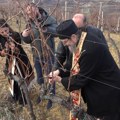 Blagosiljanjem vinograda i orezivanjem vinove loze, u Velikoj Hoči obeležen Sveti Trifun