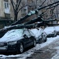 Drvo palo na automobil u Beogradu: Sneg napravio totalni haos u prestonici (Foto)