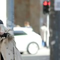 Nikada ne biste pogodili koja naša popularna pevačica nikada nije ušla u gradski prevoz: Fatalna plavuša pre 31 godinu…