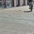 FOTO Olujni vetar u Novom Sadu: Bandera samo što nije pala na Bukovačkom putu, granje na sve strane