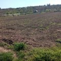 Savetnica ministra poljoprivrede: Nema ničeg dobrog u paljenju strnjika, samo je moguća velika šteta