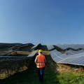 Timočka krajina postaje epicentar solarnih elektrana vrednih milijarde evra
