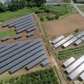 Sremska Mitrovica dobija solarnu elektranu koja će proizvoditi i struju i povrće