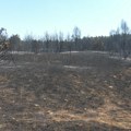 Više desetina požara u Srbiji - vetar rasplamsao vatru na Stolovima, u Deliblatskoj peščari bez promene