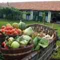 Momirović: Voće i povrće u Srbiji zdravsteno sve ispravnije