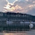 Najava RHMZ za vreme u Srbiji: Danas sneg, a u utorak ledeni dan