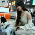 Specijalno obučeni psi dočekuju putnike na aerodromu u Istanbulu: "Smanjuju nivo stresa i anksioznosti"