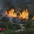Stotine vatrogasaca se bori sa ogromnim požarima u Španiji i Portugalu, sumnja se na "ekološki terorizam"