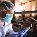 Srbija dobija novi Zakon o stočarstvu – propisi usklađeni sa direktivama EU