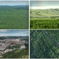 Zasađene šume u "Velikom zelenom zidu" rastu brže od prirodnih: Naučnici zapanjeni, "gutaju" CO₂ brže nego ikad