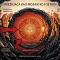 Retinitis pigmentoza neprimetno krade vid do 40-tih: Prvi simptom se javlja noću