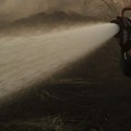 S.Makedonija: Požar u šumi kod Negotina stavljen pod kontrolu