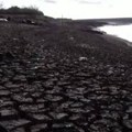 Rekordna suša u Amazoniji: Da li je svet došao do "tačke bez povratka" u borbi sa klimatskim promenama?