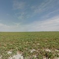 Opasne materije u poljoprivrednom zemljištu Vojvodine, pronađen i arsen