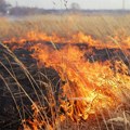 Vatrena sezona: Više nego duplo više požara u Subotici nego prošlog leta