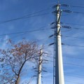 Искључења струје: Сутра радови на мрежи у Пожаревцу и Голупцу