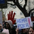 Studenti FTN-a u blokadi osnovali organizaciju, plenum u statutu