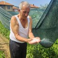 Nevreme praćeno obilnim gradom pogodilo Prijepolje, napravilo veliku materijalnu štetu (VIDEO)