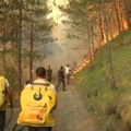 Активно 25 пожара широм Србије – ситуација на Столовима непромењена