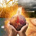 Alarmantno upozorenje Svetske meteorološke organizacije! Svetu preti nevidljiva opasnost ekstremnih razmera - više niko nije…