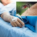 Kako komarci pikiraju žrtve: Ova grupa ljudi im je poslastica, a jedne ni da pipnu