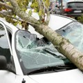 Kako do naplate štete posle oluje: Koje opcije imate ako vam drvo uništilo auto, za šta možete da dobijete novac, a šta…