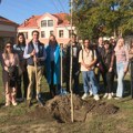 Kamp mladih zapadnog Balkana na Paliću