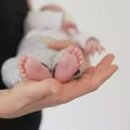 NAJSLAĐE VESTI: Prošle nedelje je u zrenjaninskoj bolnici rođeno 20 beba – ČESTITAMO! Zrenjanin - Opšta bolnica "Đorđe…