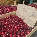 Trešnje postaju luksuz na pijaci! Cena zbog lošeg vremena skočila i preko 1000 dinara, a Srbija uvozi ovo voće iz Grčke!