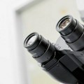 Otkrivena nova vrsta pijavice: Dobila crnogorsko naučno ime